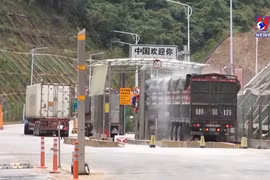 谅山省各口岸全力以赴筑牢疫情防控交通口岸屏障