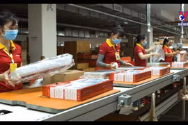2021年PCI年度报告：广宁省继续位居全国榜首