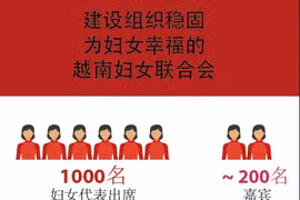 图表新闻：越南妇女第十三届全国代表大会 建设组织稳固、为妇女幸福的越南妇女联合会