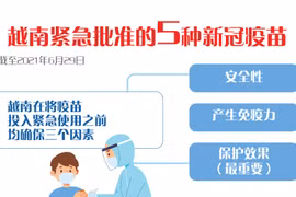 图表新闻：越南紧急批准的5种新冠疫苗
