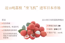 图表新闻：近10吨荔枝“坐飞机”进军日本市场