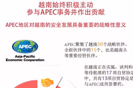 图表新闻：越南始终积极主动参与APEC事务并作出贡献