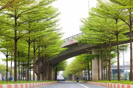组图：春末夏初的河内美景让人迷醉