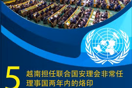 图表新闻：越南担任联合国安理会非常任理事国两年内的5大烙印