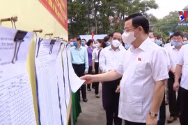 国会主席王廷惠视察宣光省换届选举准备工作