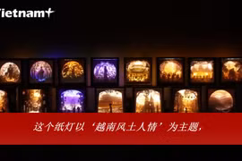90后青年利用3D艺术纸灯展现越南风土人情