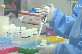 越南成功培养和分离新型冠状病毒毒株