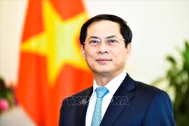 应对新冠肺炎疫情是越南目前第一优先事项