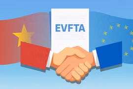 越南加快完成EVFTA相关批准手续 使越南与欧盟自贸协定尽早生效 