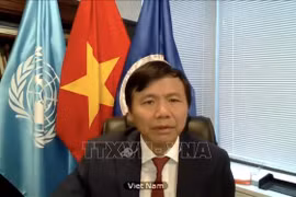 越南与联合国安理会：越南再次强调对联合国维和行动的支持