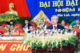 越共中央书记处常务书记陈国旺出席越共嘉莱省第十六次代表大会