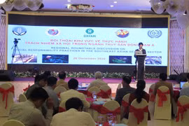 东南亚地区渔业社会责任实践对话在庆和省举行