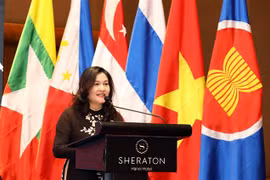 ASEAN 2020：维护东盟妇女和儿童的合法权益