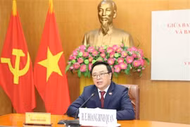 越共中央对外部部长同古巴共产党中央对外部代部长举行视频会谈 