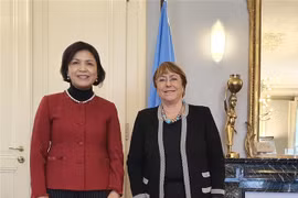 联合国人权事务高级专员高度评价越南在促进和维护人权方面取得的成就