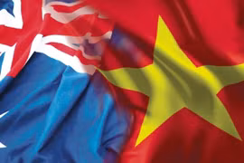 阮必成大使向澳大利亚总督递交国书