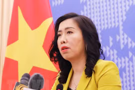  越南将随时采取必要措施保护公民