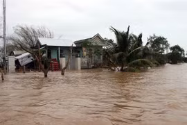 越南各地主动应对第13号台风