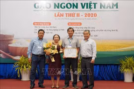 ST25大米继续保持越南最佳大米的称号