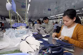 全球风险洞察网：EVFTA和EVIPA为越南经济提供更多收益来源