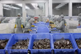 越南虾产业努力恢复虾类出口市场 