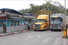 新冠肺炎疫情：谅山省各地方口岸未能重新开放