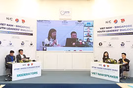 加强越南与新加坡年轻企业的合作