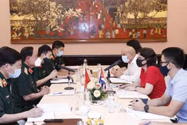 新冠肺炎疫情：越南与古巴加大科研与诊治合作力度