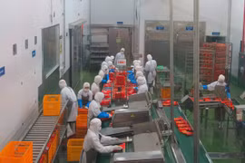 越南企业深入了解EVFTA以充分利用其带来的机会