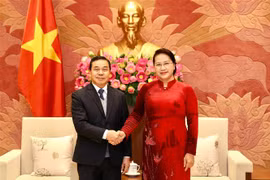 越南国会主席阮氏金银会见老挝驻越大使