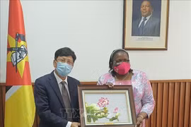 莫桑比克赞扬越南在东盟和联合国安理会事务中发挥的积极作用
