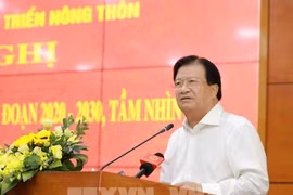 政府副总理郑廷勇：畜牧业是越南经济中的重要产业
