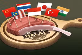 印度尼西亚增加对伊斯兰会议组织成员国的出口