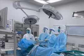 新冠肺炎疫情：越南所有危重病例已经治愈 治愈病例数达266例