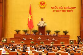 第十四届国会第十次会议今日深入研究讨论经济社会发展问题