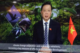 越南自然资源与环境部长在联合国生物多样性峰会上发表讲话
