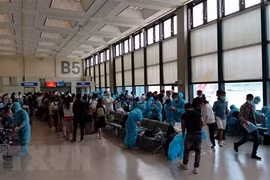 新冠肺炎疫情：将在新加坡的近360多名越南公民接回国