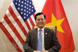 推动越南与美国全面伙伴关系不断向前发展
