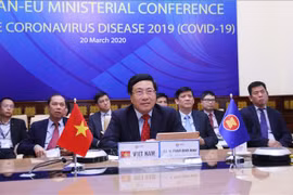 新冠肺炎疫情：东盟与欧洲各国进一步密切合作 做好疫情防控工作