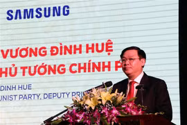 越南关心发展辅助产业