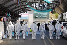 新冠肺炎疫情：越南外交部主动采取措施保护在韩国越南公民