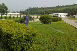 永福省各工业区打造绿色生态家园