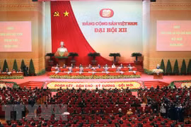 发挥民主，提供意见，起草并完善越共十三大文件草案