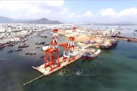 今年前5月归仁港货物吞吐量增长12%