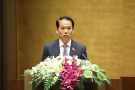 越南国会通过关于试点组织岘港市城市政府模式的决议