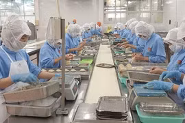 《越欧自贸协定》生效两个月后签发对欧出口的1.5万份原产地证