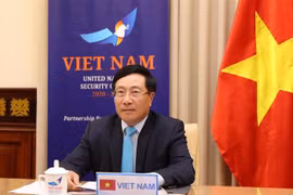 越南政府副总理兼外长范平明出席联合国安理会高级别视频公开会