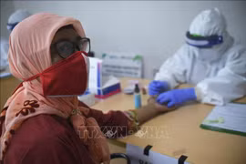 印尼投入3.39亿美元用于生产新冠肺炎疫苗