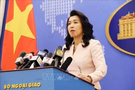 越南要求马来西亚查明真相并严厉处置执法致死一名越南渔民的执法人员
