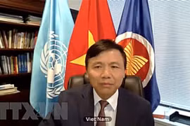 越南与联合国安理会：越南参加了关于反IS恐怖主义的会议